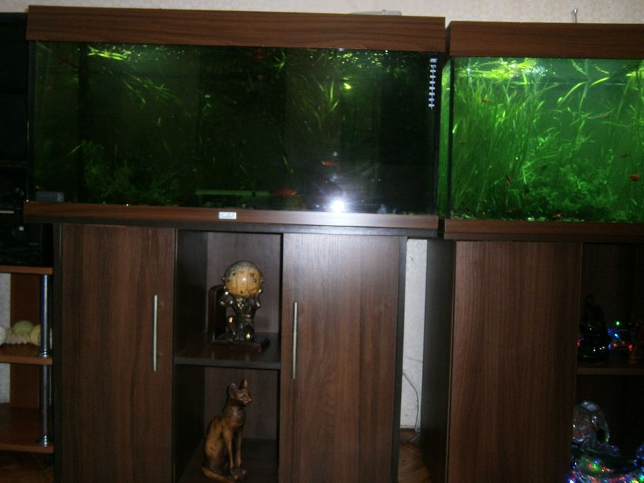 Аквариум juwel Германия с тумбой 180 л.