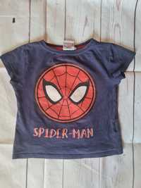 Bluzka Marvel Spiderman