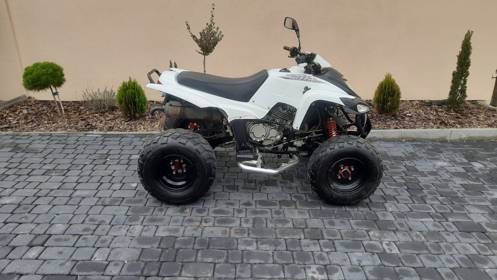 Quad Adly 300 Honda homologacja l7e rejestracja