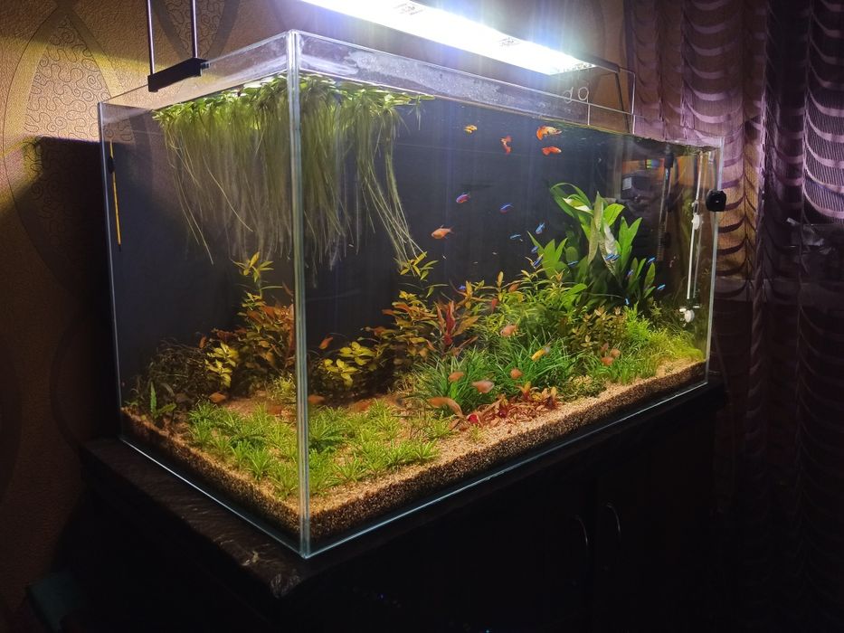 Акваріум Collar Aglass 180л