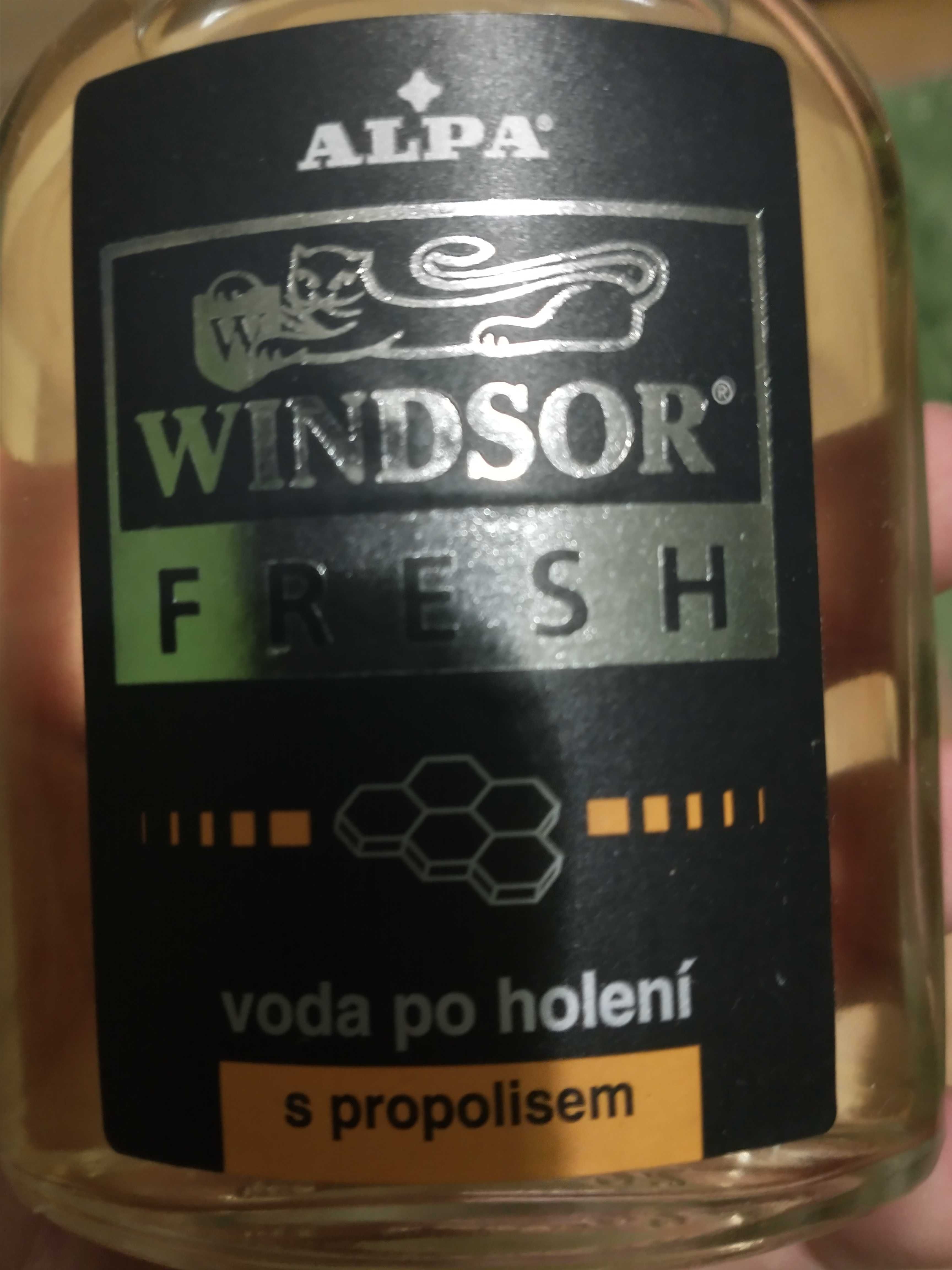 Alpa Windsor Fresh woda po goleniu 100ML 9 sztuk