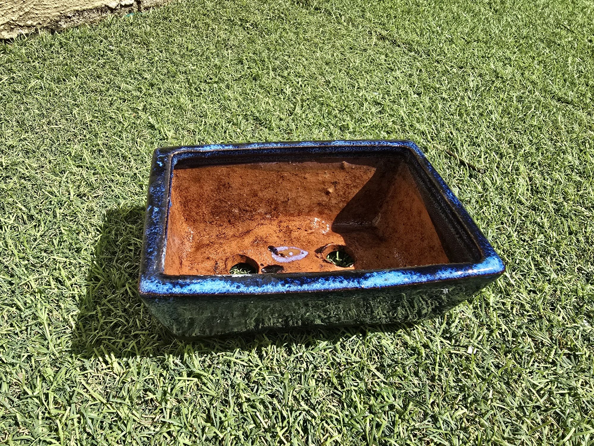 Vaso bonsai azul