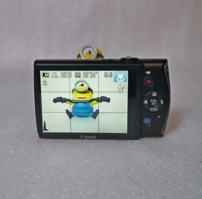 Цифровой фотоаппарат Canon IXUS 230 HS с нюансом