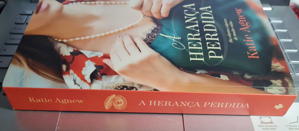 A Herança Perdida de Katie Agnew