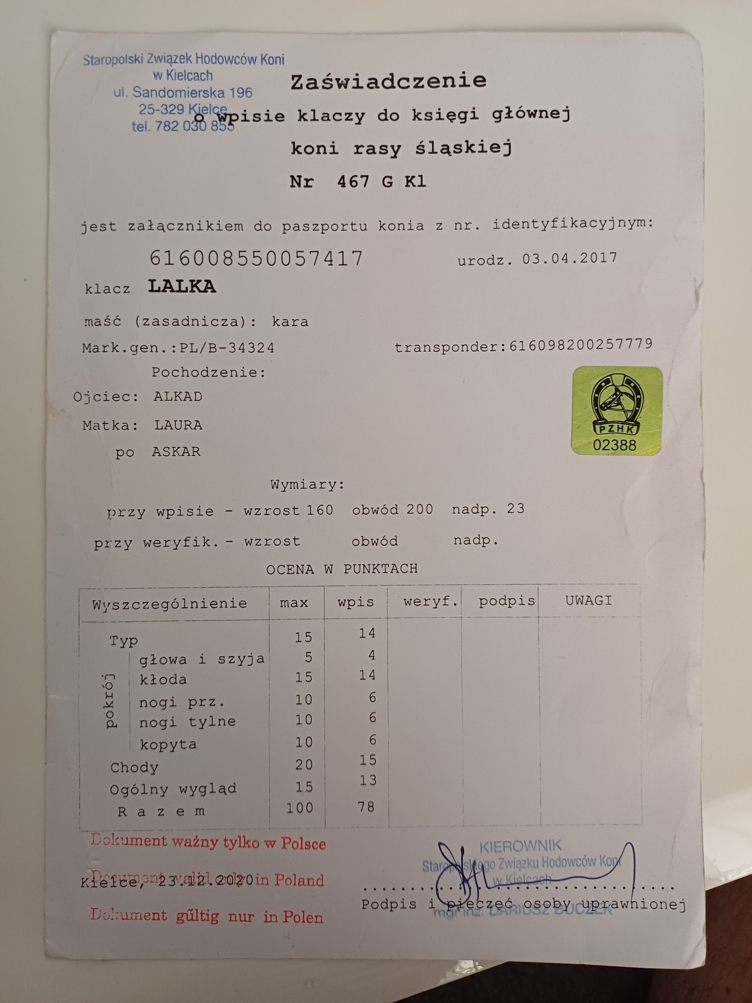 Sprzedam klacz śląską programową