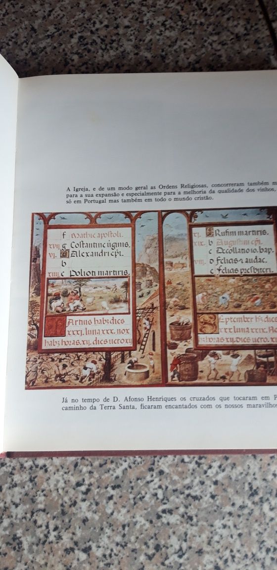 Conjunto de 3 Livros de Vinhos