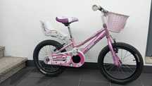 Bicicleta criança (menina) roda 16