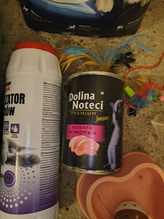 Wyposażenie wyprawka akcesoria dla kociaka