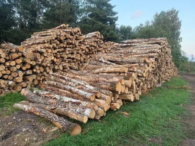 Drzewo - olcha, brzoza, sosna - opał, kłoda, tartak - od 120zł/mp