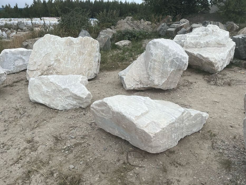 Kruszywo ozdobne granitowe dalmatyńczyk kamienie Ogrodowe