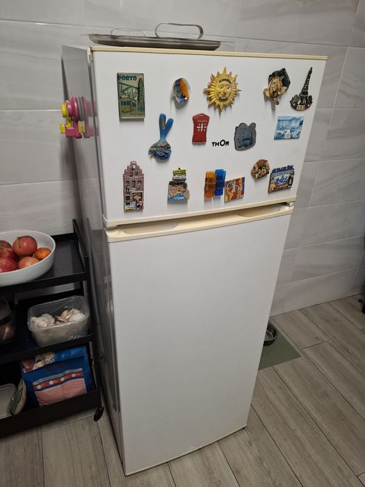 Frigorífico THOR ( 1,42m x 53cm x 51cm)