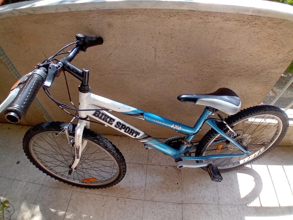 Bicicleta Bike Sport Team Pro 4210