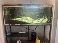 Aquário 400L  155x47x59