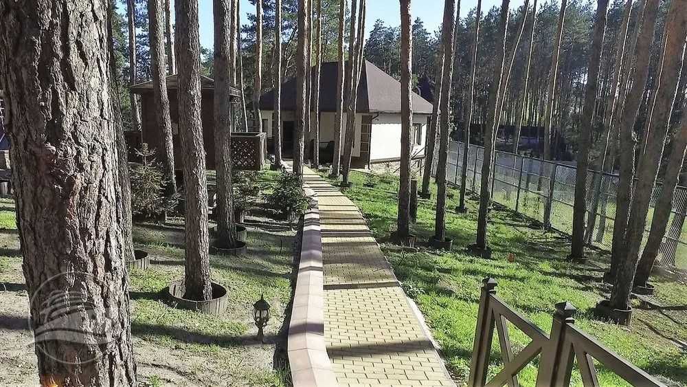 Сучасний особняк із повною обстановкою в сосновому лісі!