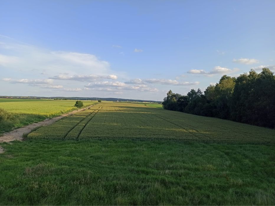 Działki budowlane w Zawadach