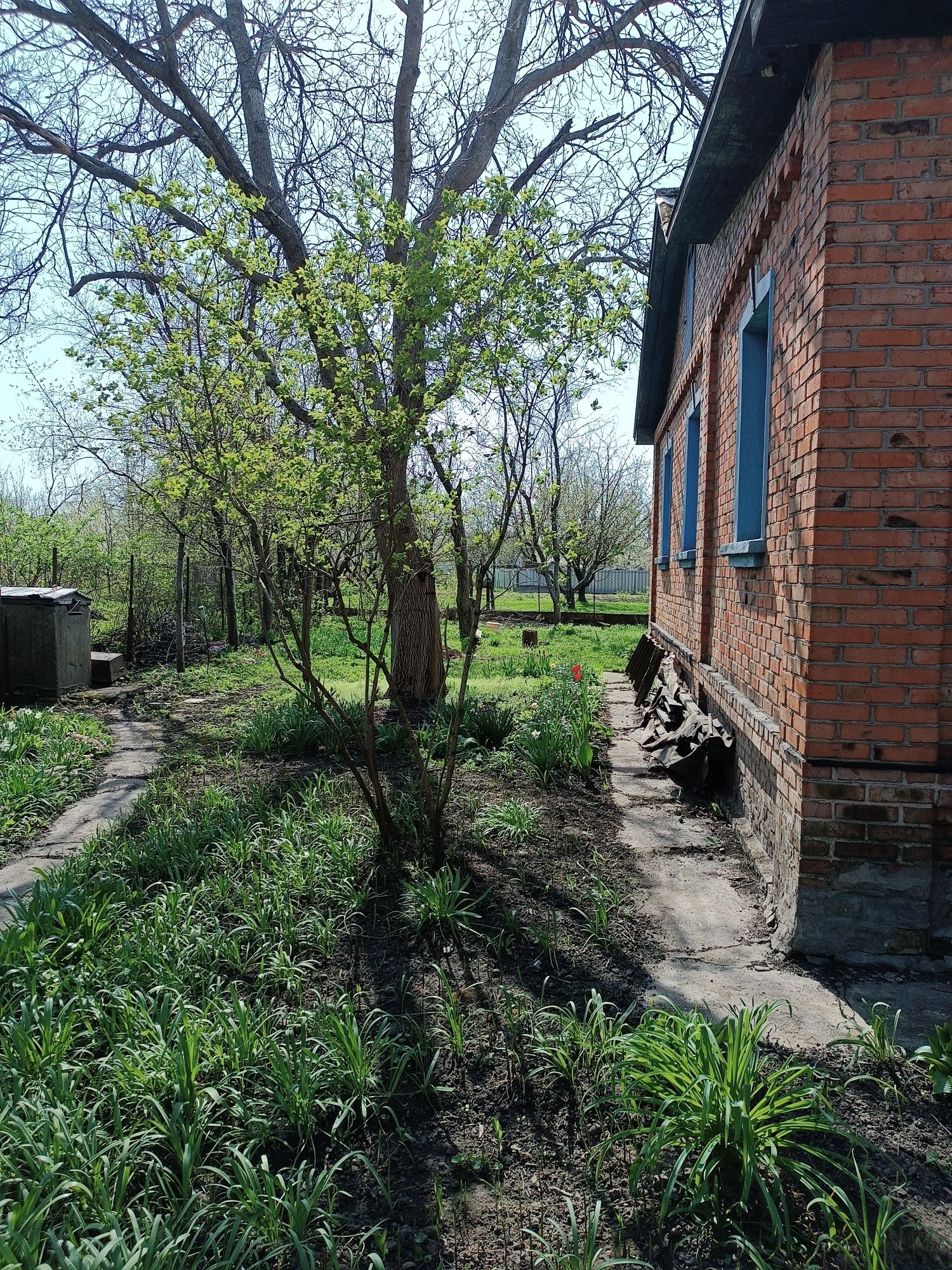 Великий будинок, Обласна лікарня, 15 сот землі