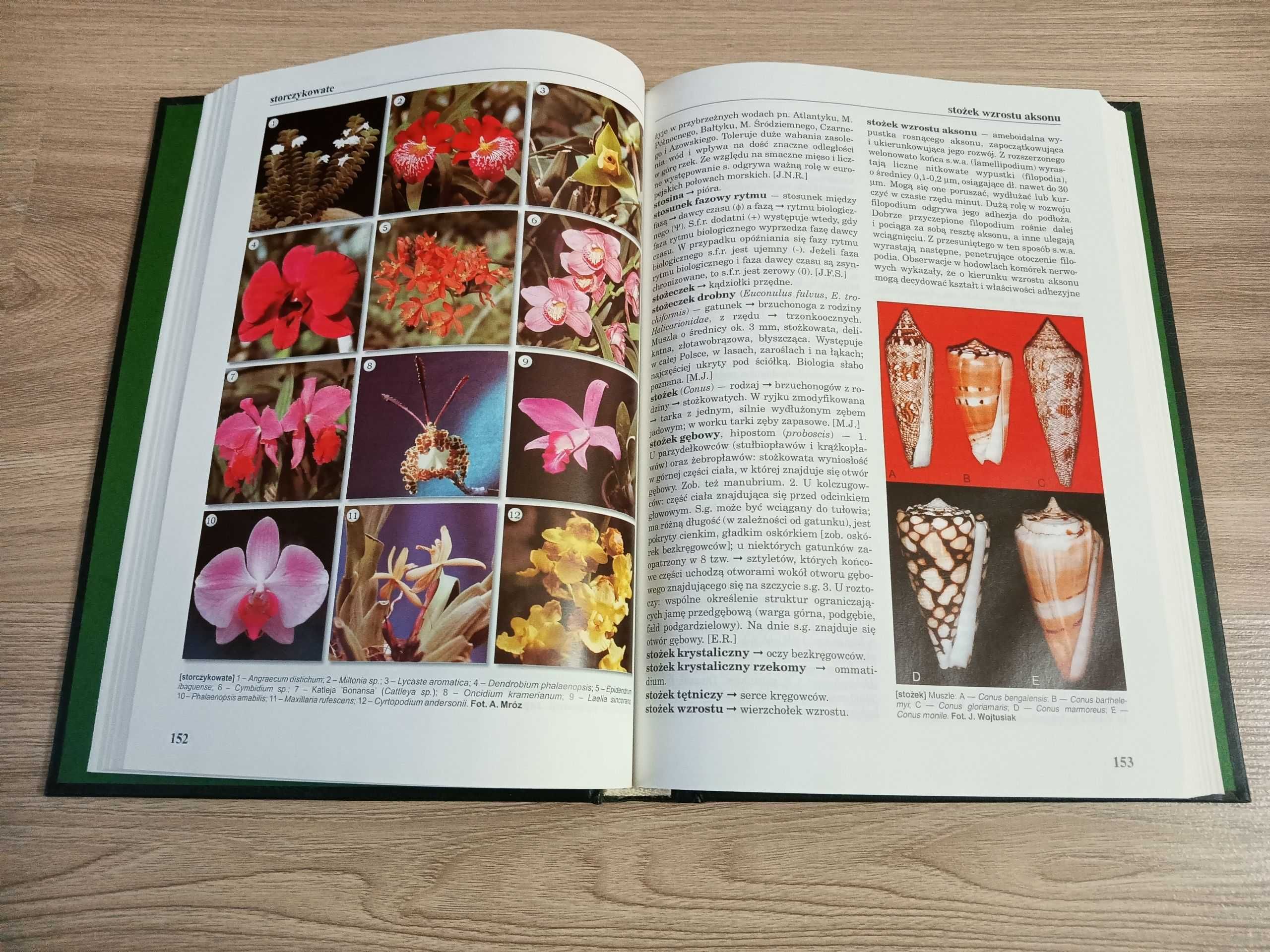 Encyklopedia Biologiczna Tom X Sj-Ti