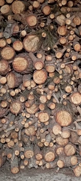 Lenha Pinheiro Manso