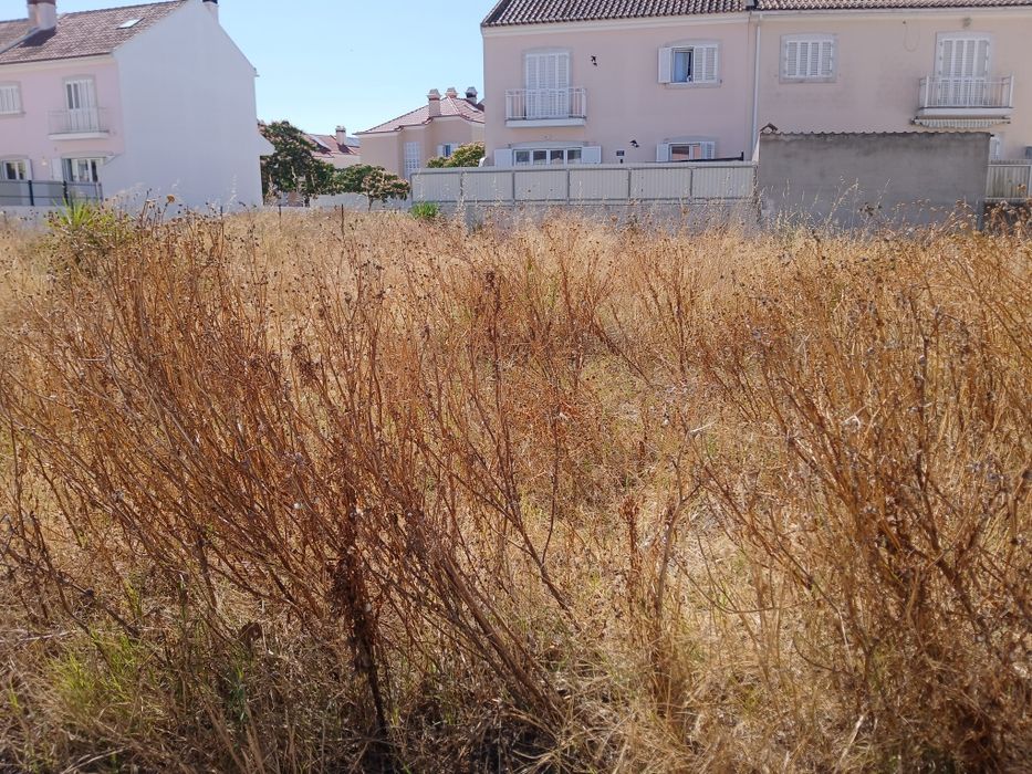 Limpeza de terrenos e manutenção jardins