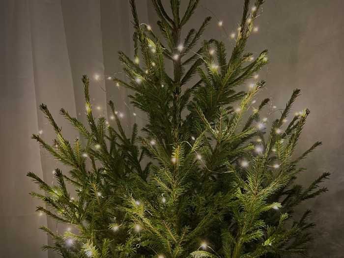 Новорічна гірлянда на ялинку. Мішура хвойна лапа. Зелений кабель 50м