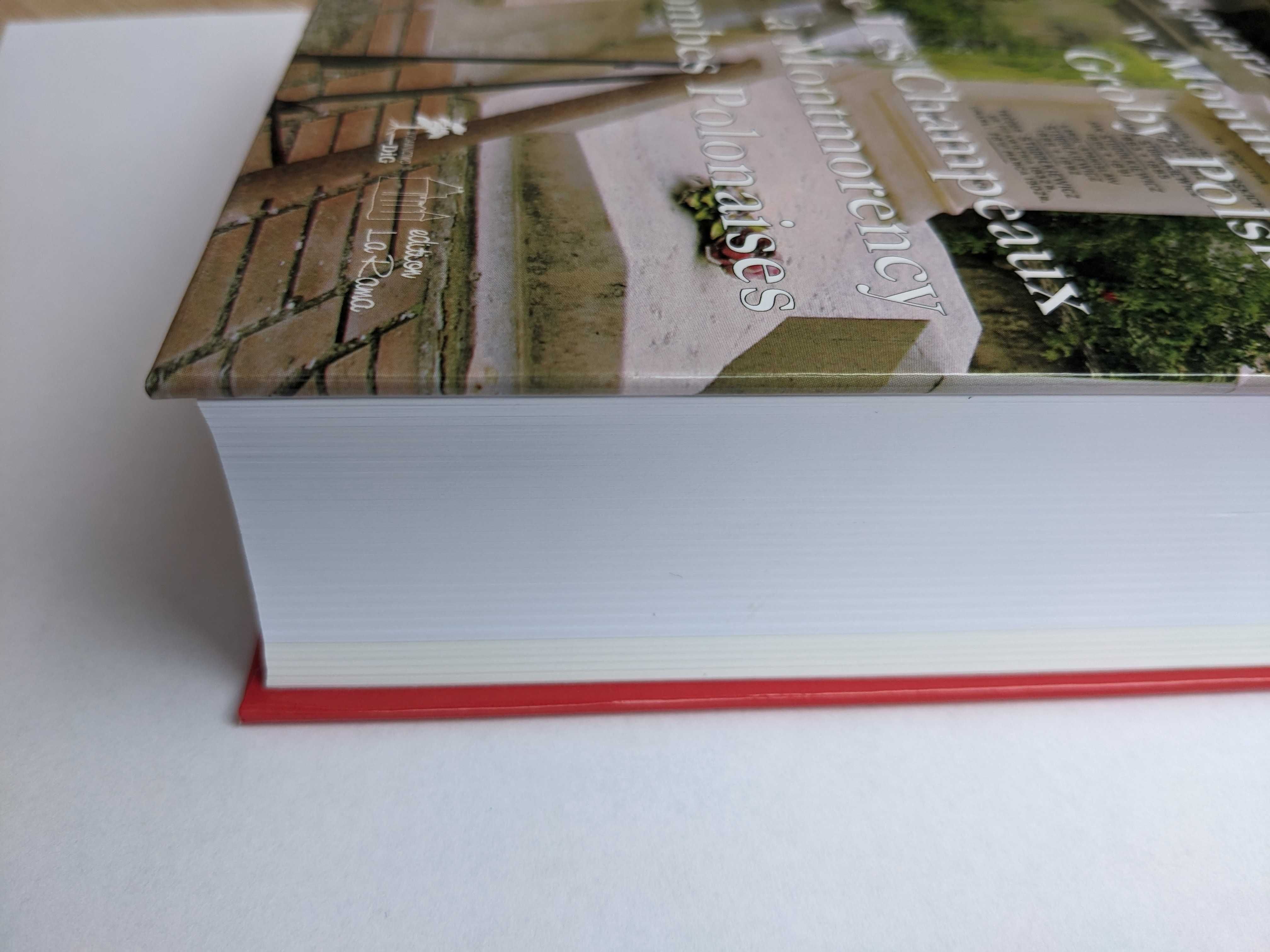 Nekropolie Historia Cmentarz Champeaux w Montmorency Antropologia Nowa
