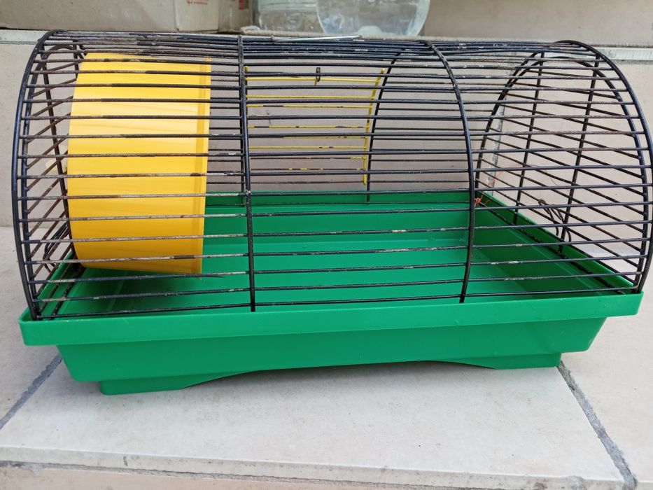 для змей корм, колесо хомячкам клетка для грызунов