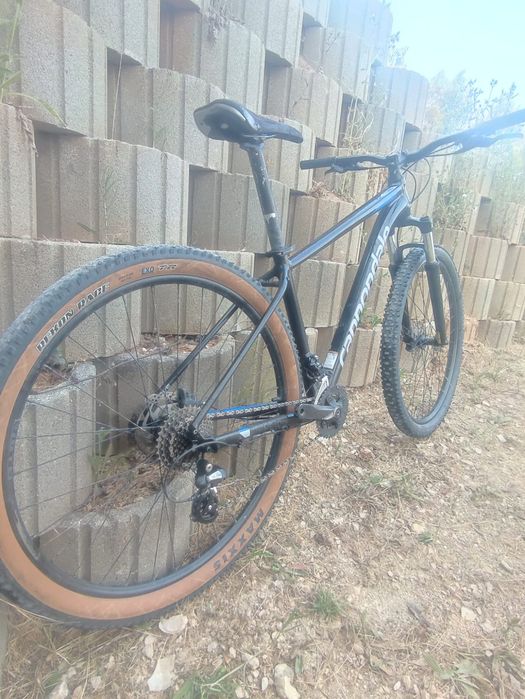 Cannondale Trail 7