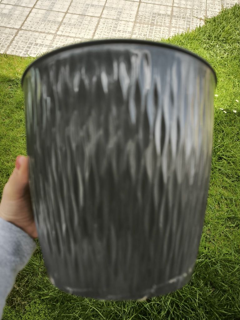 Vasos de plantas variados