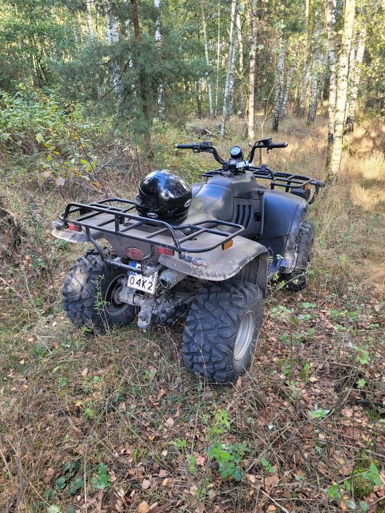 Quad Linhai 300.