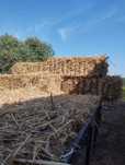 Fardos de palha de trigo com grao
