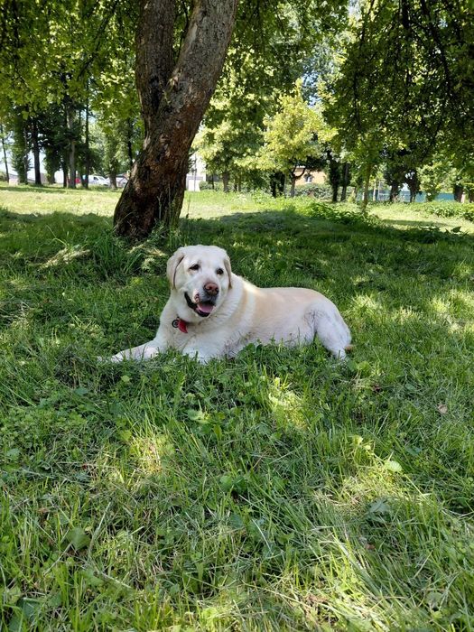 Перетримка  тварин.Любої породи