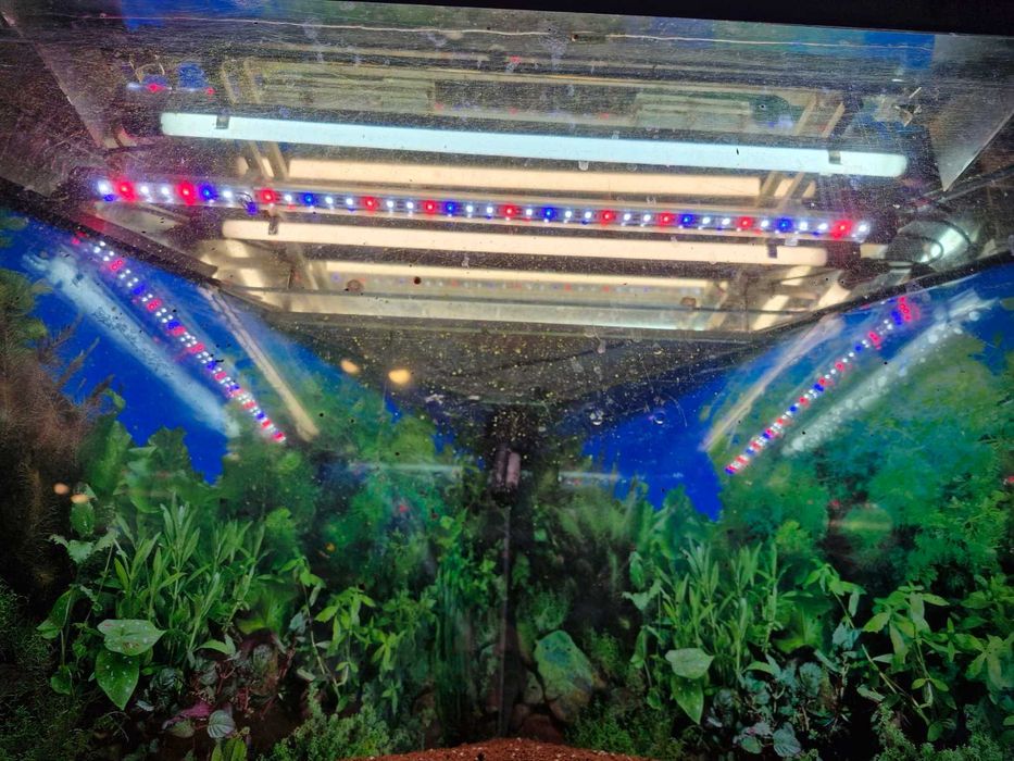 Akwarium ok. 200l TANIO! Z osprzętem i podłożem!