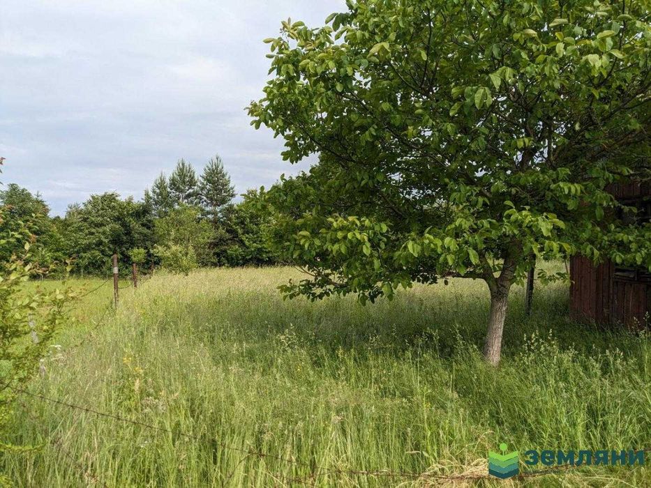 Продаж дачної ділянки 7 сот в Павлівці, СТ Чорнобиль (10)