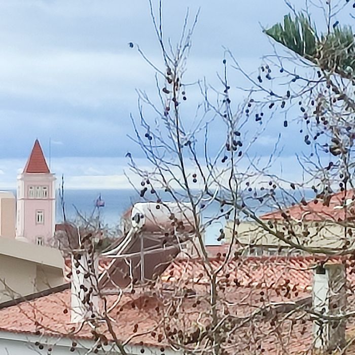 Oportunidade T3 (+ 2) com Vista Mar
