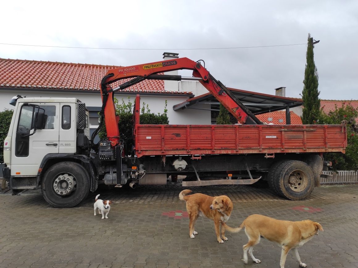 Camiao volvo FL220