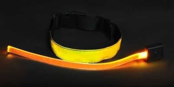 Obroża LED dla psa kota żółta M