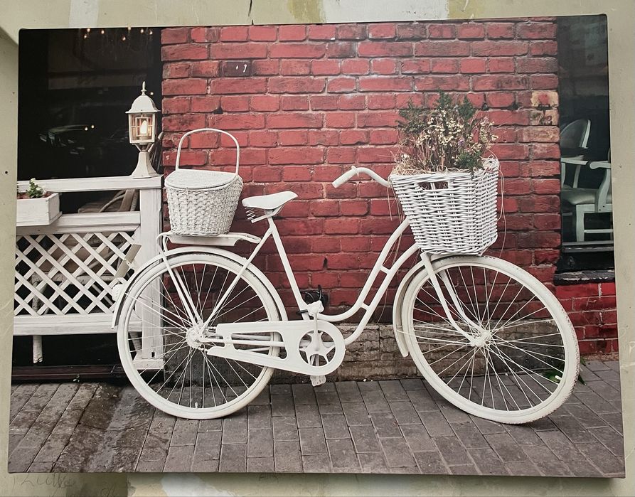 Obraz na płótnie Rower 80 x 60 cm jak nowy Poznań