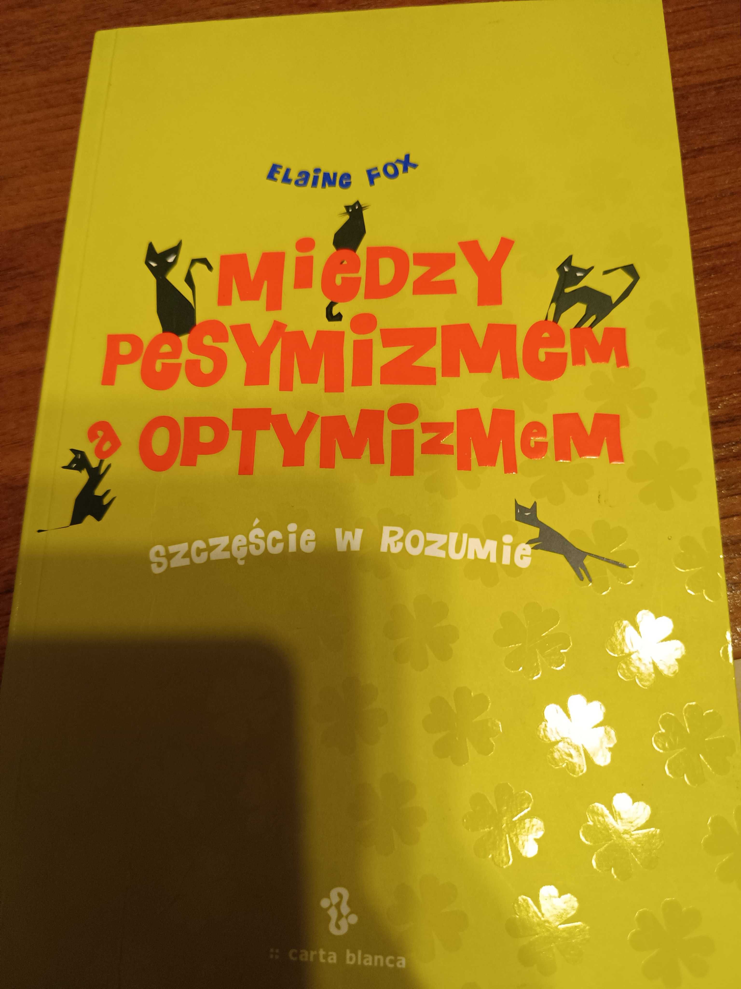 JAK NOWA Między pesymizmem a optymizmem. Szczęście w Elaine Fox