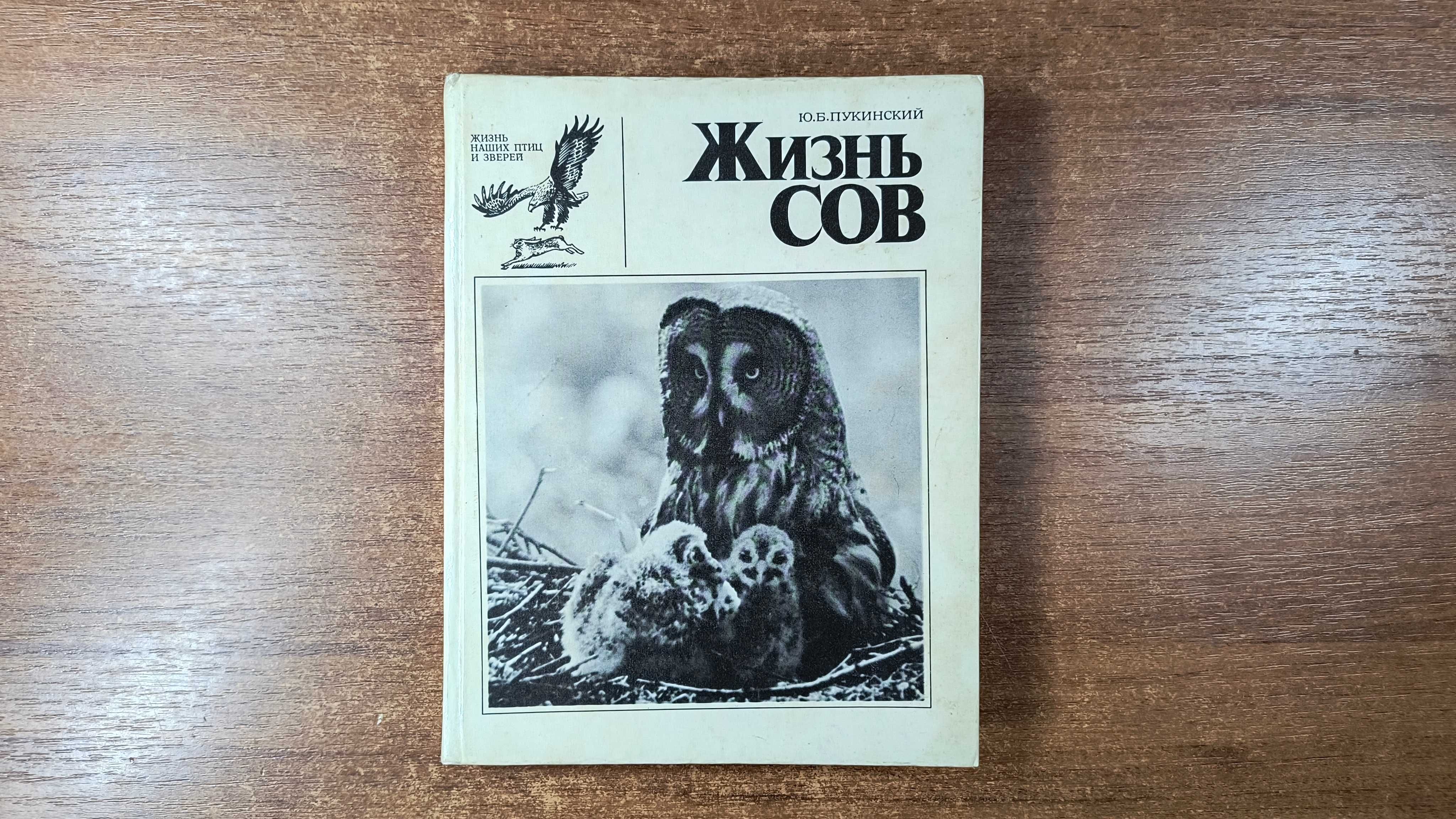 Жизнь сов (Пукинский) - Совы, птицы, орнитология