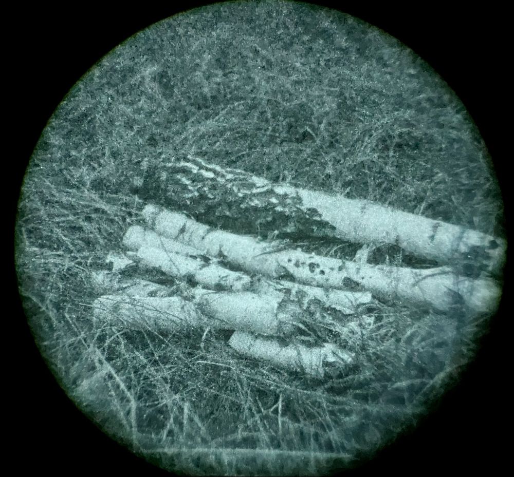 Noktowizor PVS-14 BIAŁY fosfor