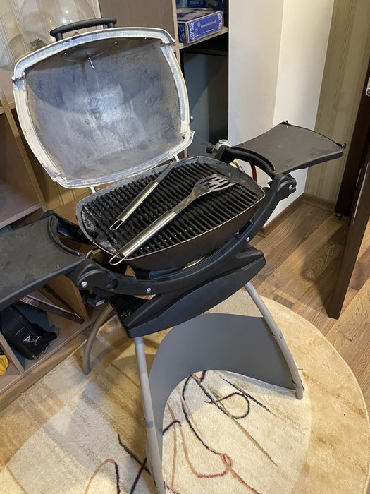 Гриль-барбекю Weber Q 120