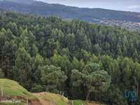 Terreno em Madeira de 10960,00 m2