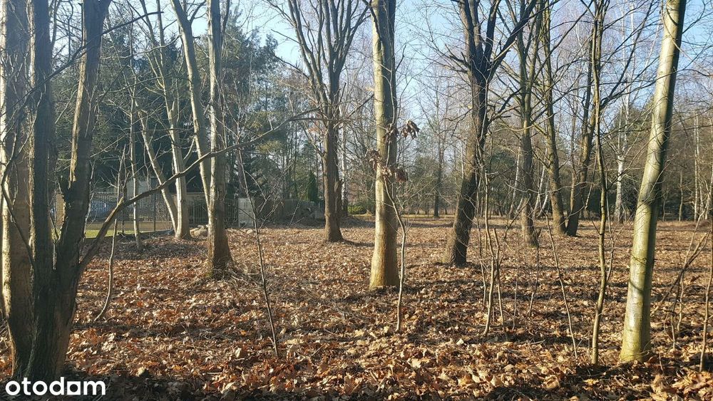 Przepiękna działka - duże drzewa jeziorko strumyk