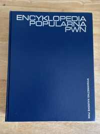 Encyklopedia popularna PWN 1999