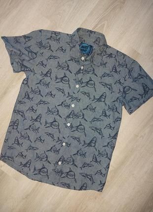 Рубашка акулы Blue Zoo shark's коттон