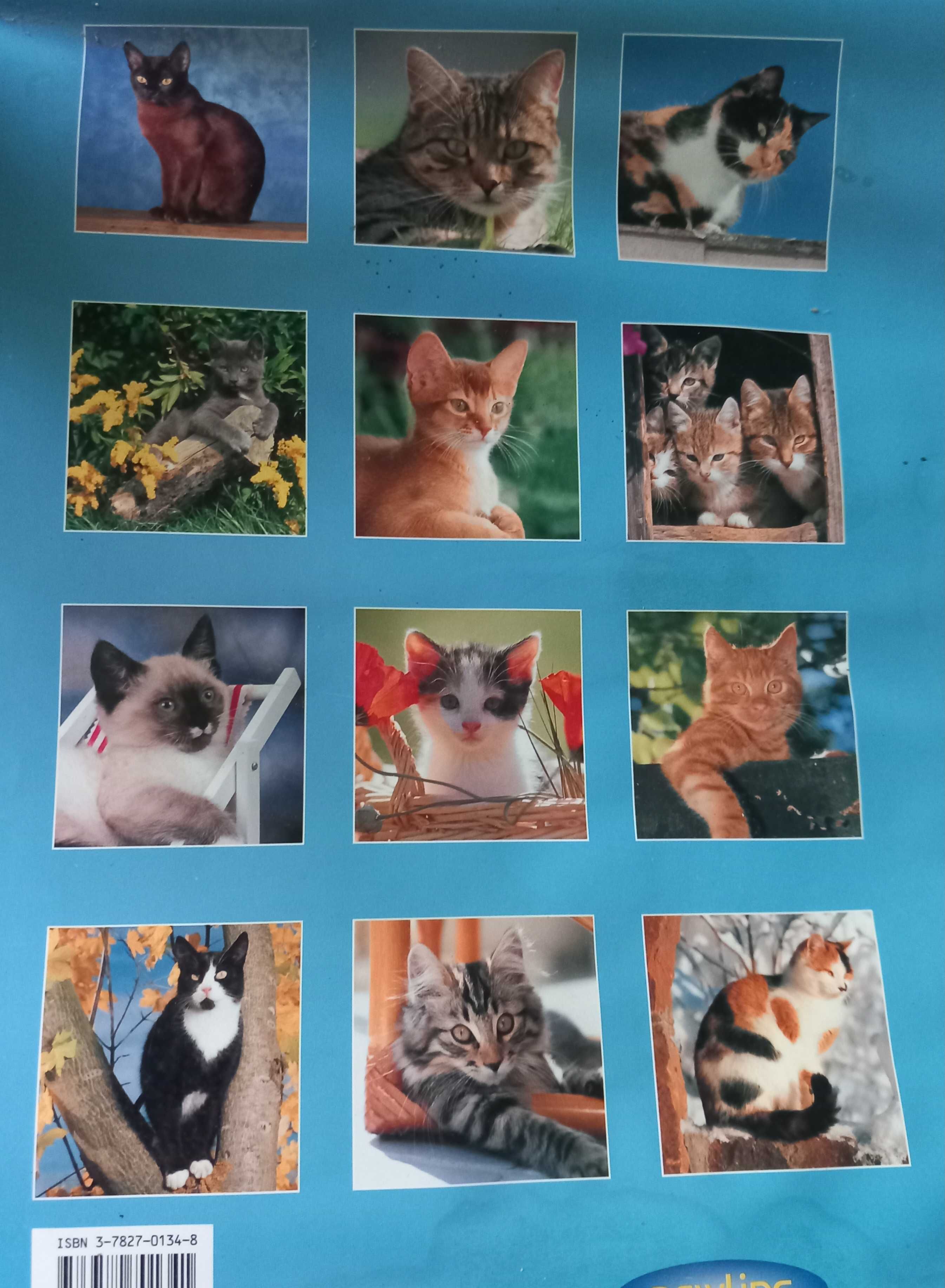 Calendários - africanos, celtas, gatos, buddha, animais, Hello Kitty