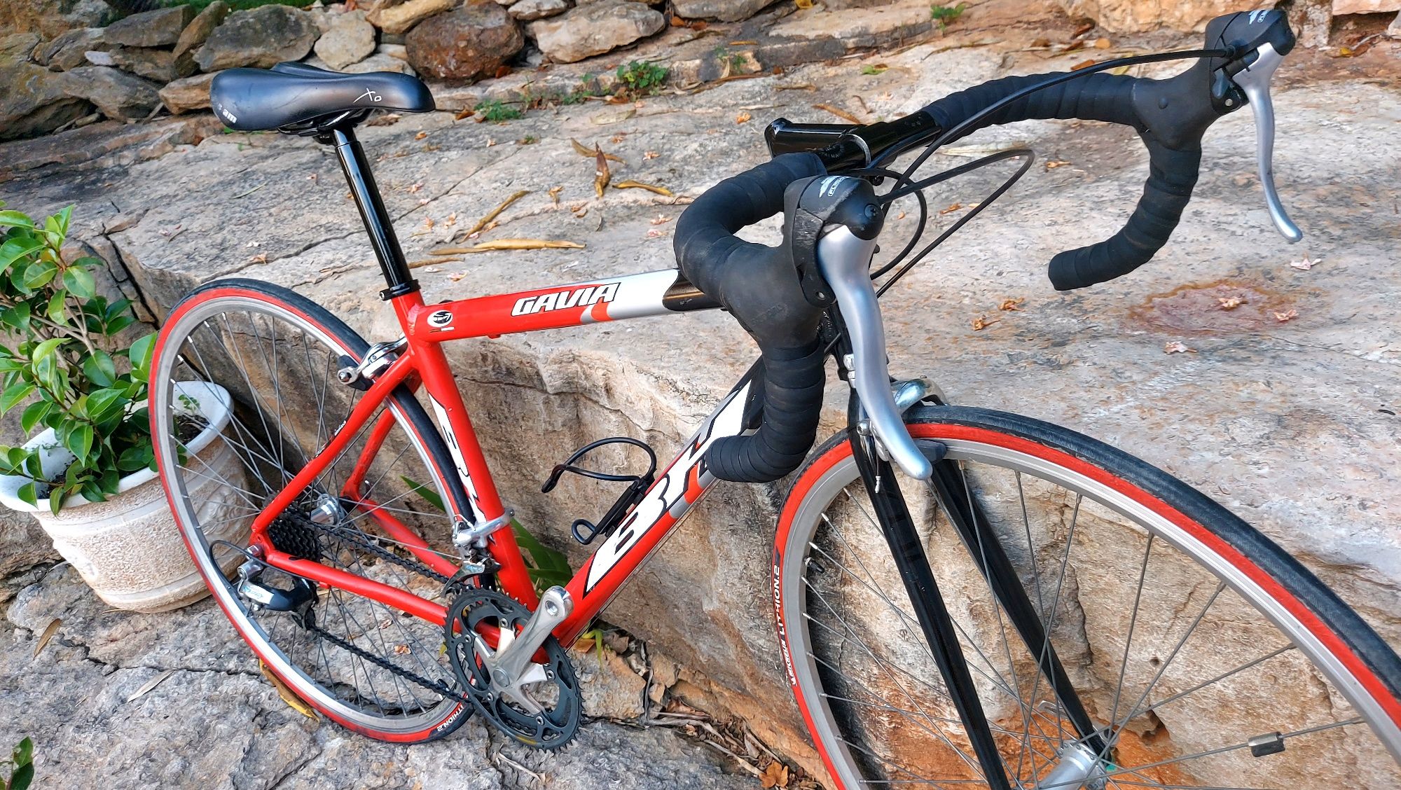 BH Gavia oportunidade t49