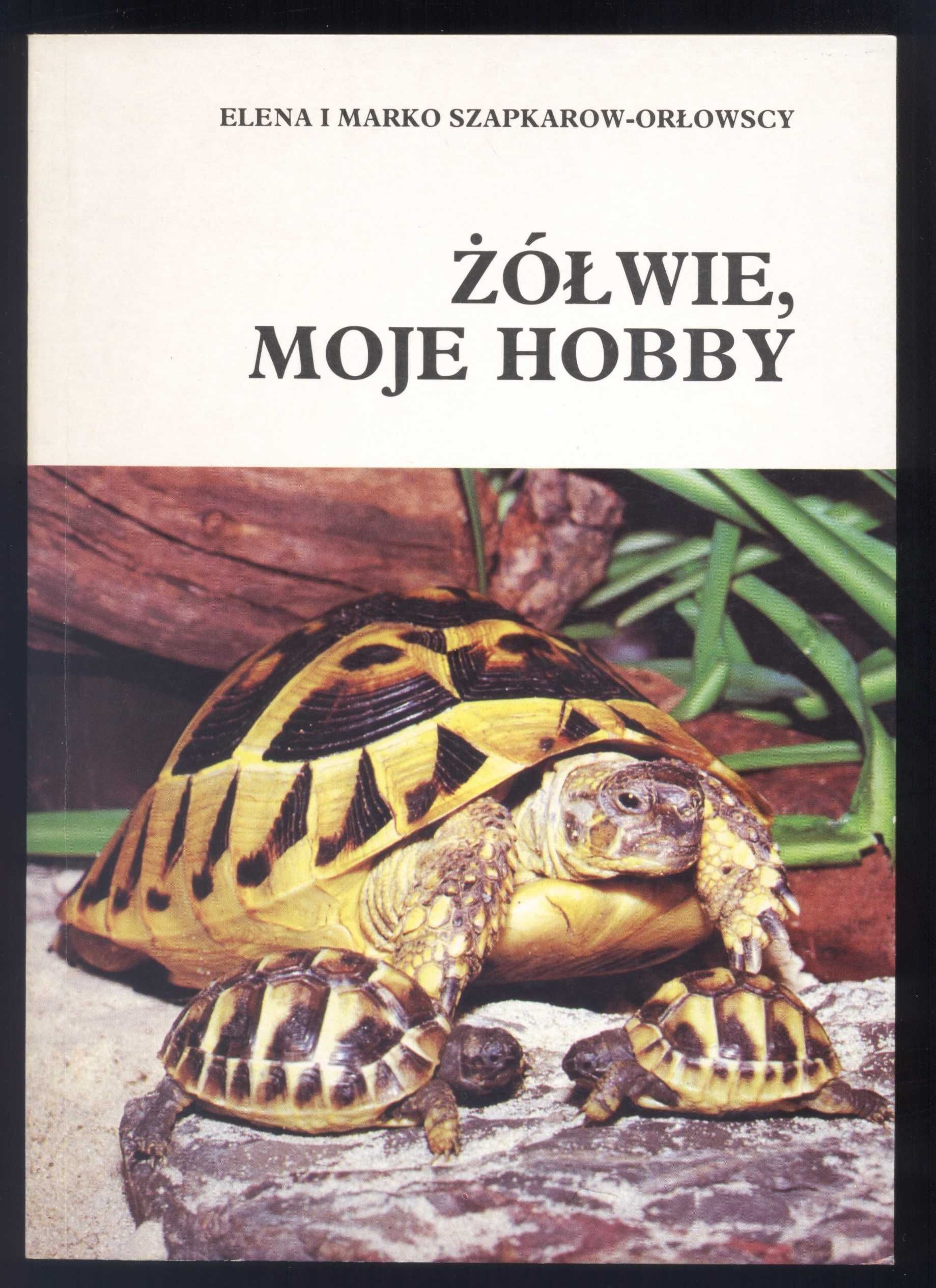 Żółwie - książki