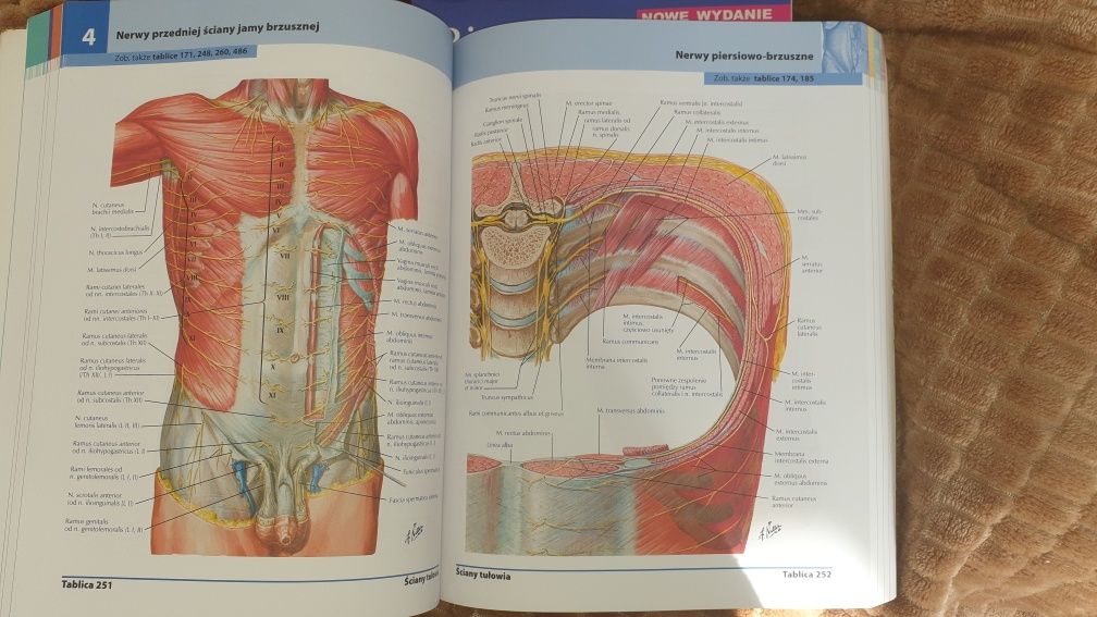 Atlas anatomii człowieka netter po łacinie