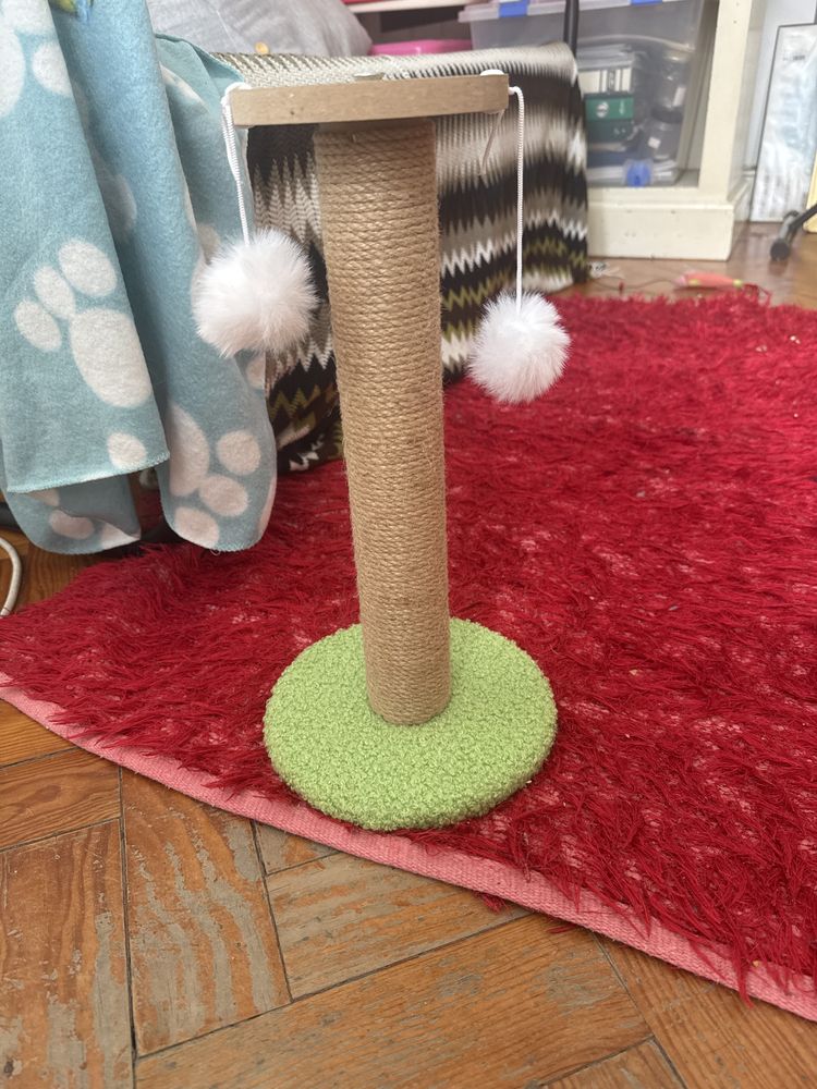 Arranhador para gato - Novo